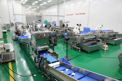 拜泉縣 技術咨詢賦能重點項目，全力開創(chuàng)建設新局面